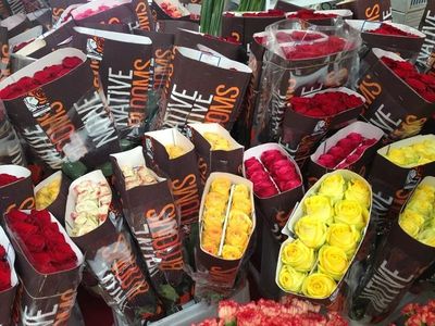 斗南國際花卉產業園 花海作伴，品味云南，禮品花卉銷售新體驗