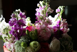 紙間花香 創(chuàng)意紙質(zhì)鮮花，獻(xiàn)給親人生日的獨(dú)特禮物